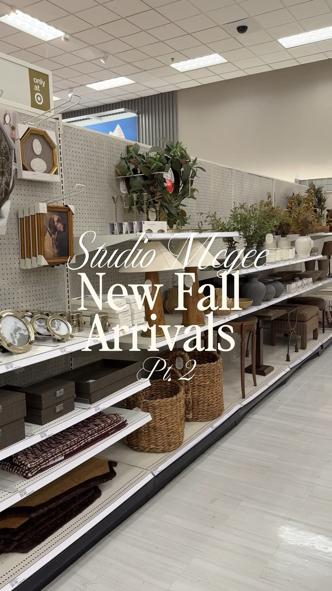 Part 2 of Studio McGee fall new arrivals @Target Iove this entire collection 🍂

#LTKHome #LTKSeasonal #LTKvlog