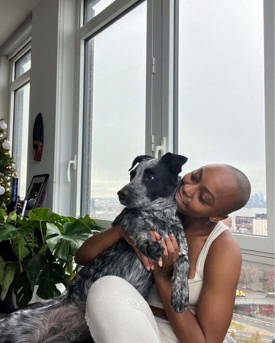 Holiday Gift Guide For Your Pets

#LTKGiftGuide #LTKHoliday #LTKSeasonal