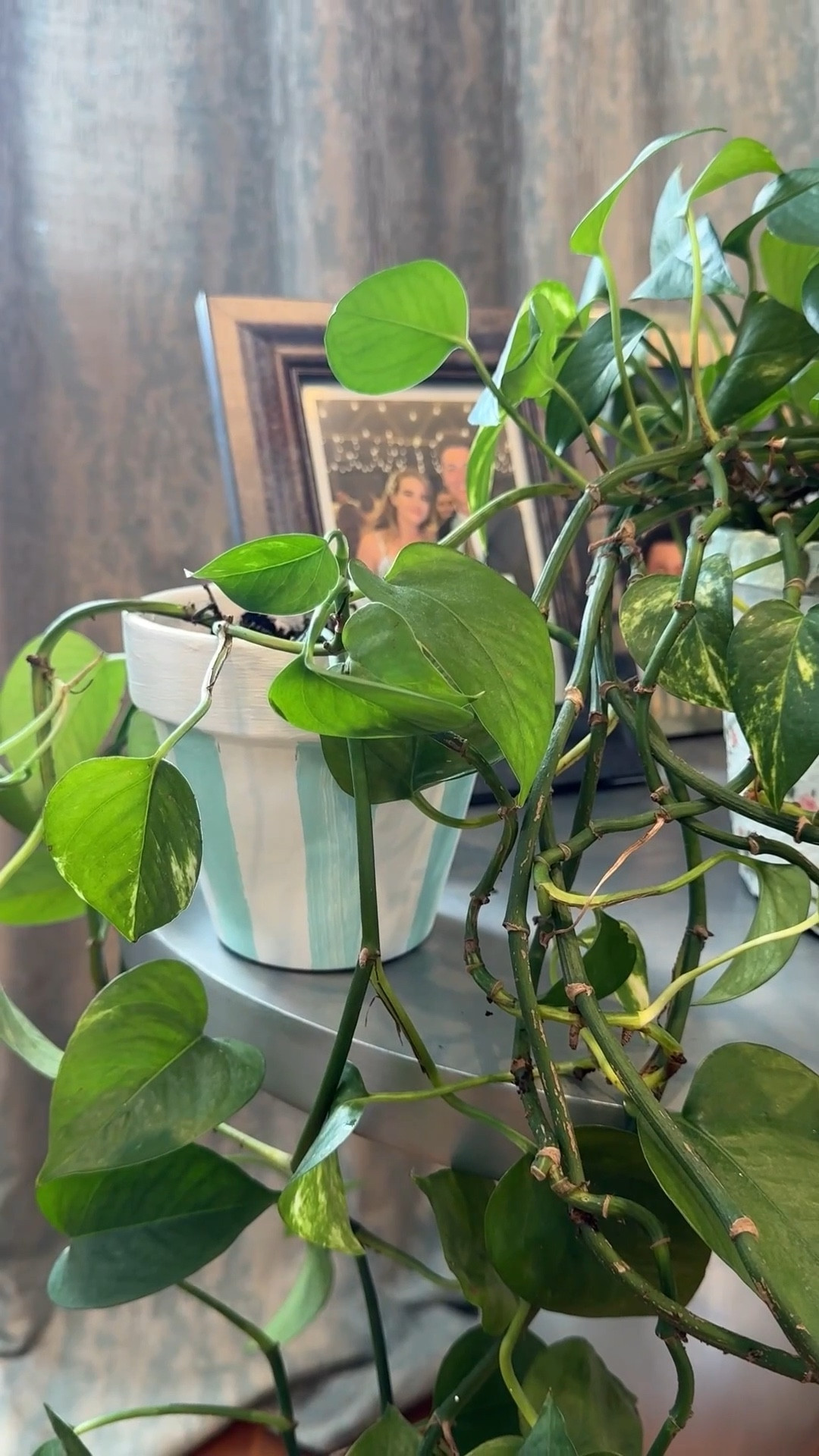 DIY Painted indoor planter inspired by high-end decorative pots, featuring sage green stripes and a coordinating floral decoupage design This budget friendly terra cotta pot makeover is the perfect way to create custom indoor plant decor with a pattern mixed designer look. Save this easy DIY planter update or a thoughtful Mother’s Day gift.

#LTKHome #LTKSeasonal