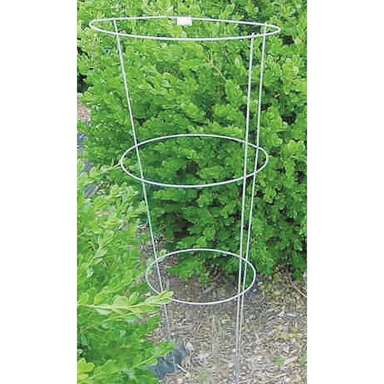 Glamos 33 in Steel Tomato Cage | Walmart (US)