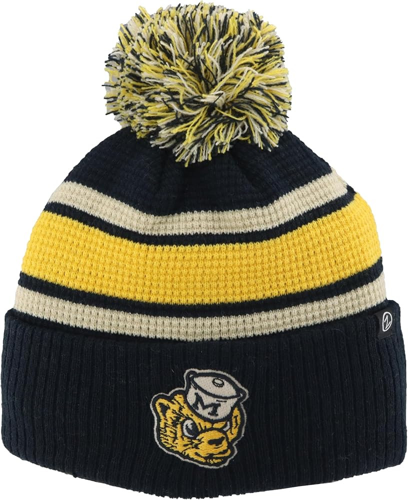 Michigan Wolverines NCAA Officially Licensed Beanie Waffle Knit | Amazon (US)