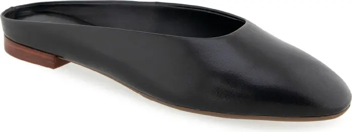 Amara Mule (Women) | Nordstrom