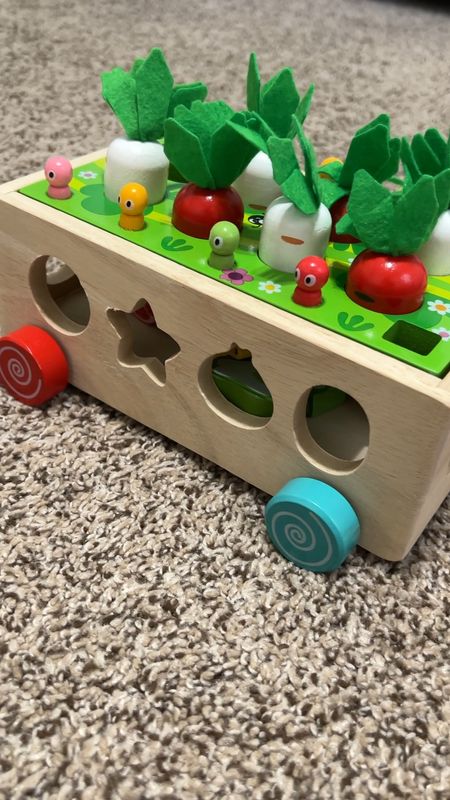 A great Montessori toy for toddlers! 

#LTKBaby #LTKFamily #LTKKids