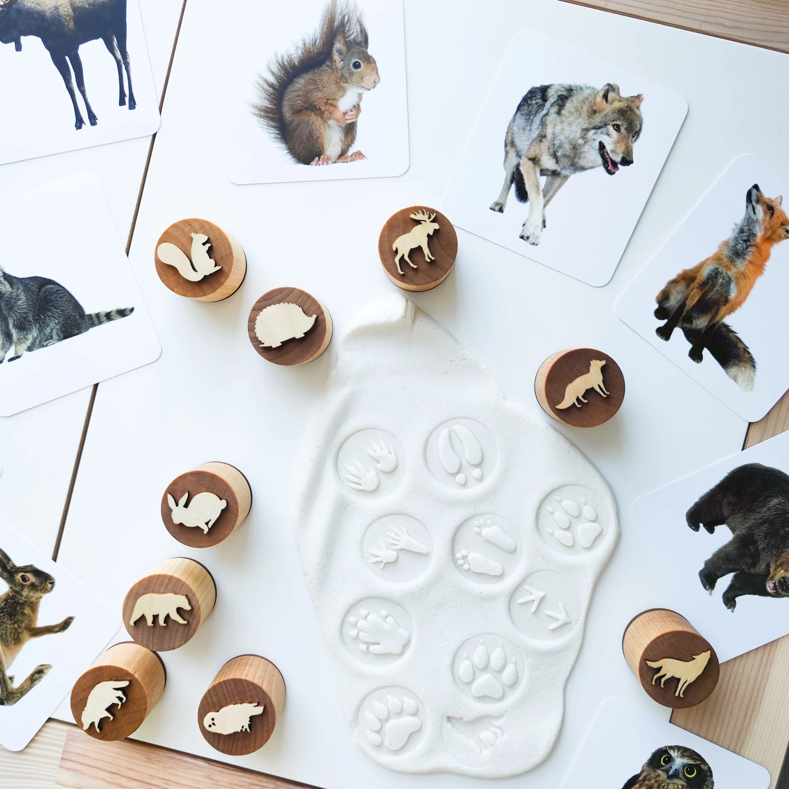 Double-sided Forest Animal Tracks Play Dough Stampers. A Set - Etsy | Etsy (US)