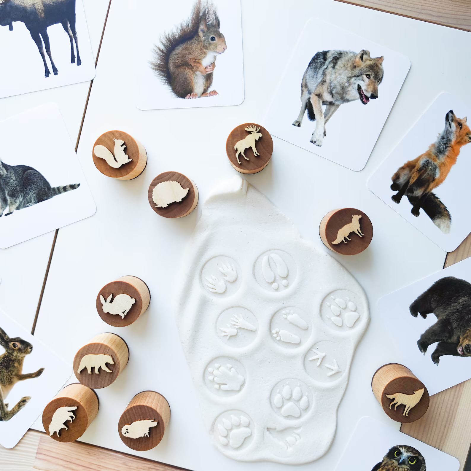Double-sided Forest Animal Tracks Play Dough Stampers. A Set - Etsy | Etsy (US)