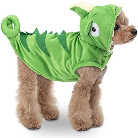 Dog gecko Costume | Amazon (US)