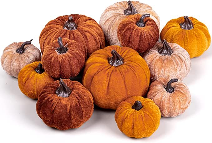 Whaline 12Pcs Fall Artificial Pumpkins 3 Sizes Fake Velvet Pumpkin Orange Brown Khaki Small Foam ... | Amazon (US)