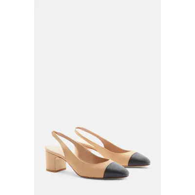SCAROSSO Miranda Pumps in Black - Calf at Nordstrom, Size 38 | Nordstrom
