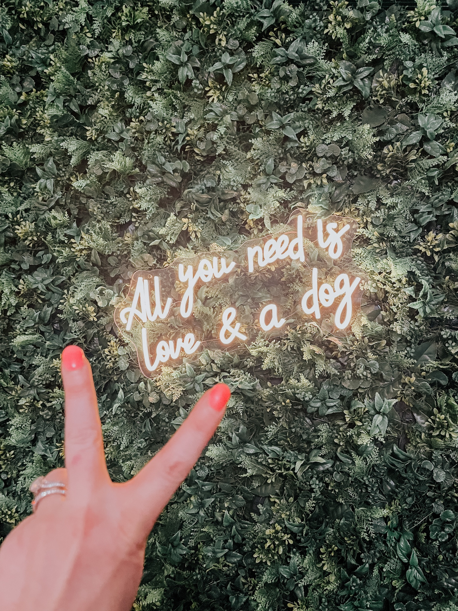 DIY faux greenery accent wall!
Full tutorial on IG @nichenn_oh
We used approximately 30 pieces for our wall.
#accentwall #greenerywall #homedecor
#fauxgreenery #diydecor 

#LTKstyletip #LTKhome #LTKunder100