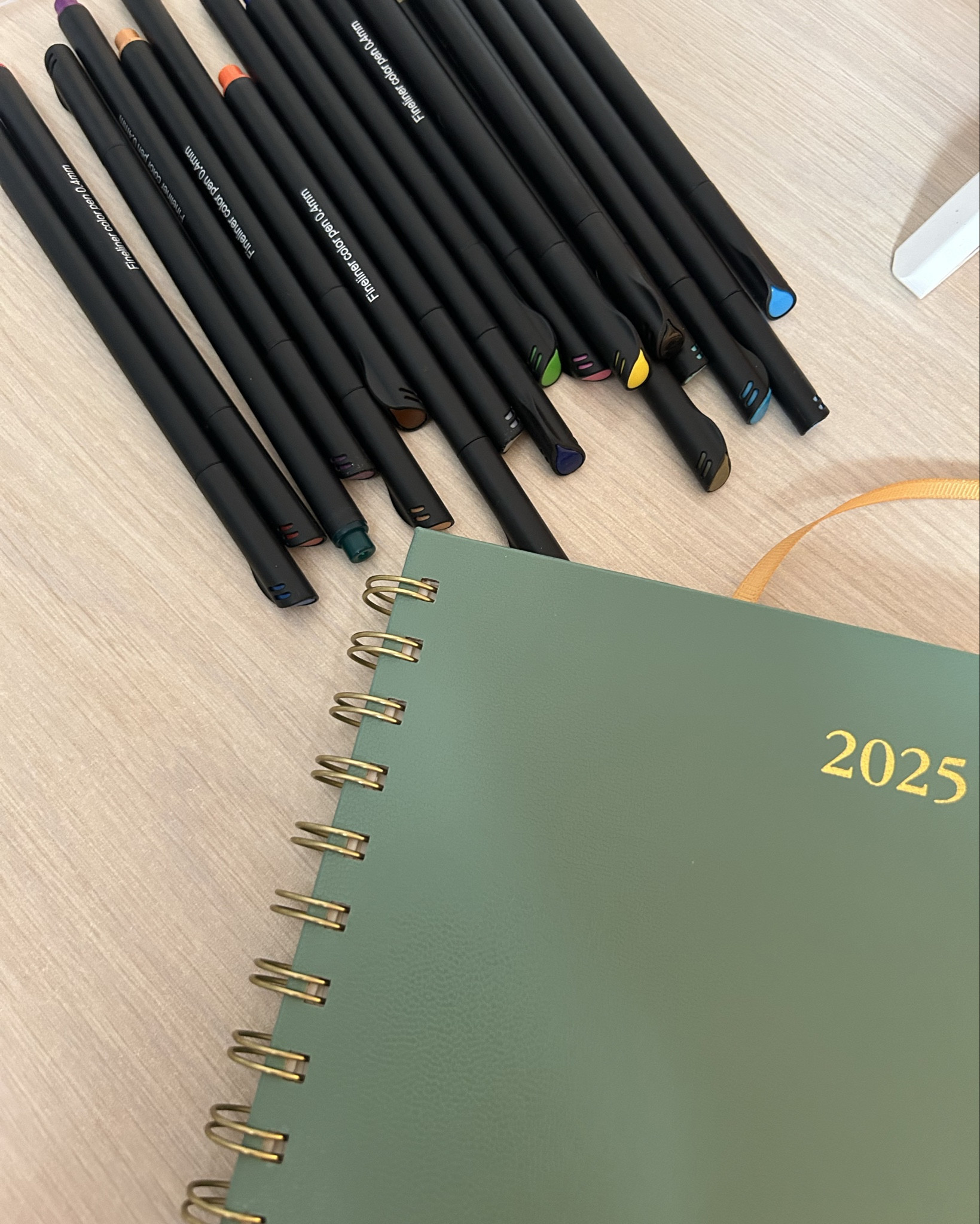 2025 planners + pens for this year, I’m obsessed!!!! #2025planner 

Pen are so tiny and precise, it’s soo perfectt

#LTKcanada #LTKworkwear #LTKbeauty