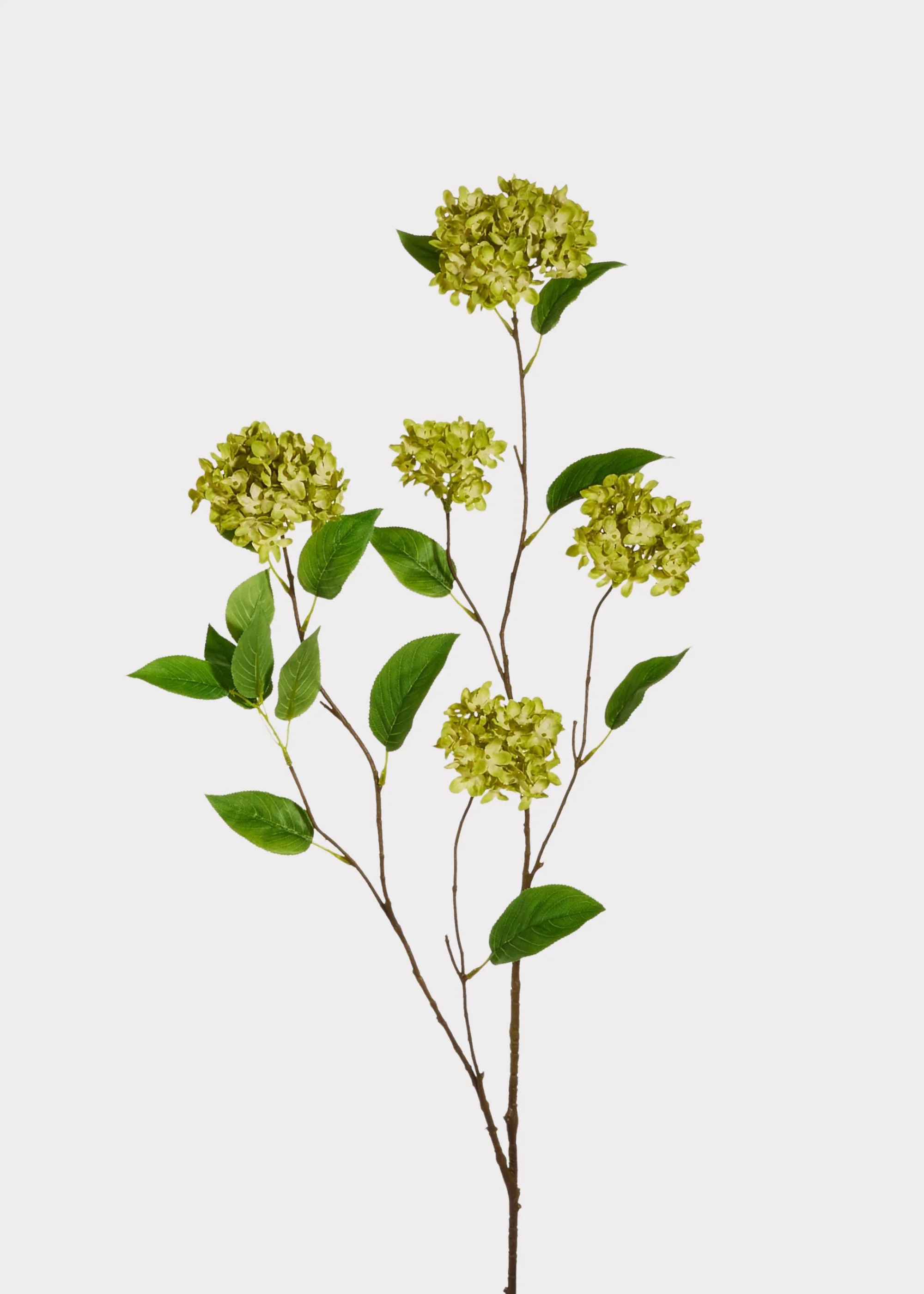 Green Snowball Hydrangeas | Tall Artificial Flower Branches | Afloral | Afloral