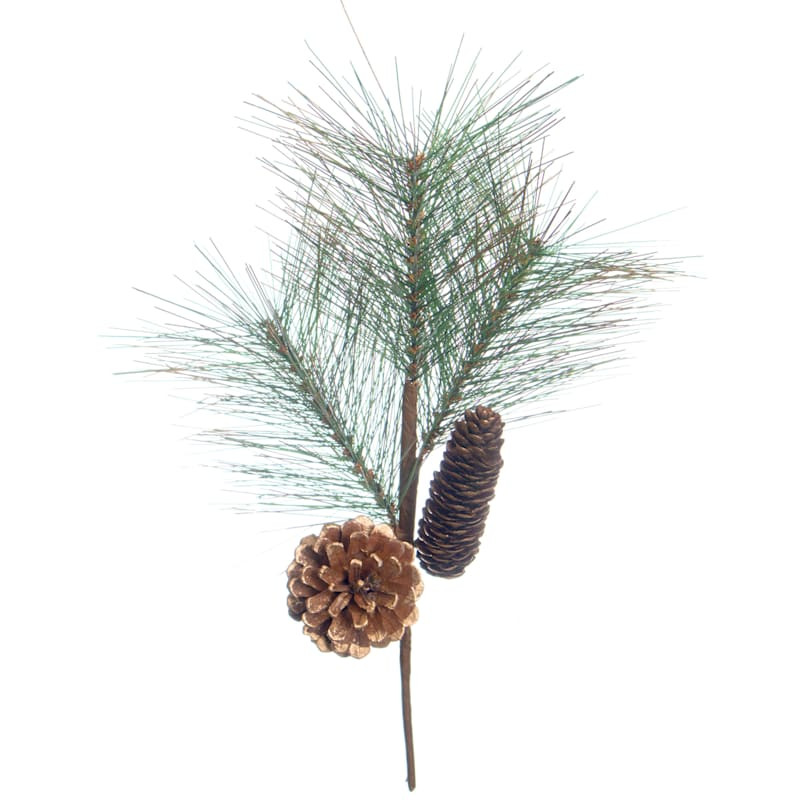 14IN CONE/PINE PICK w/PDQ | At Home