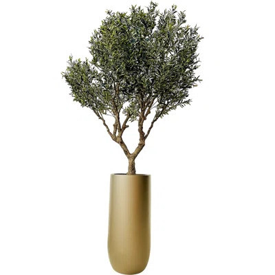 Artificial Olive Tree In Matte Black St. Tropez Planter | Wayfair North America