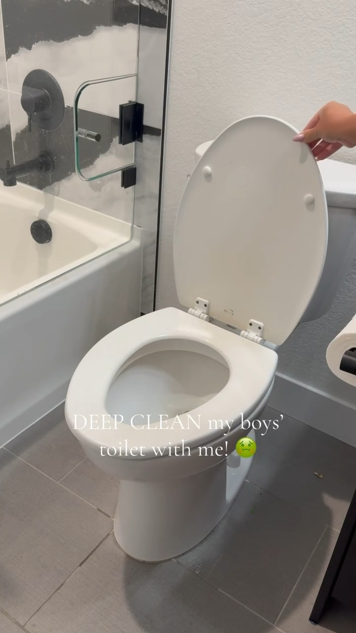 Deep clean the toilet and bathroom! 


#LTKmomlife #LTKHome #LTKdayinmylife