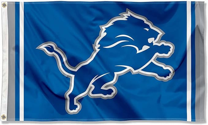 WinCraft Detroit Lions New Logo Flag | Amazon (US)