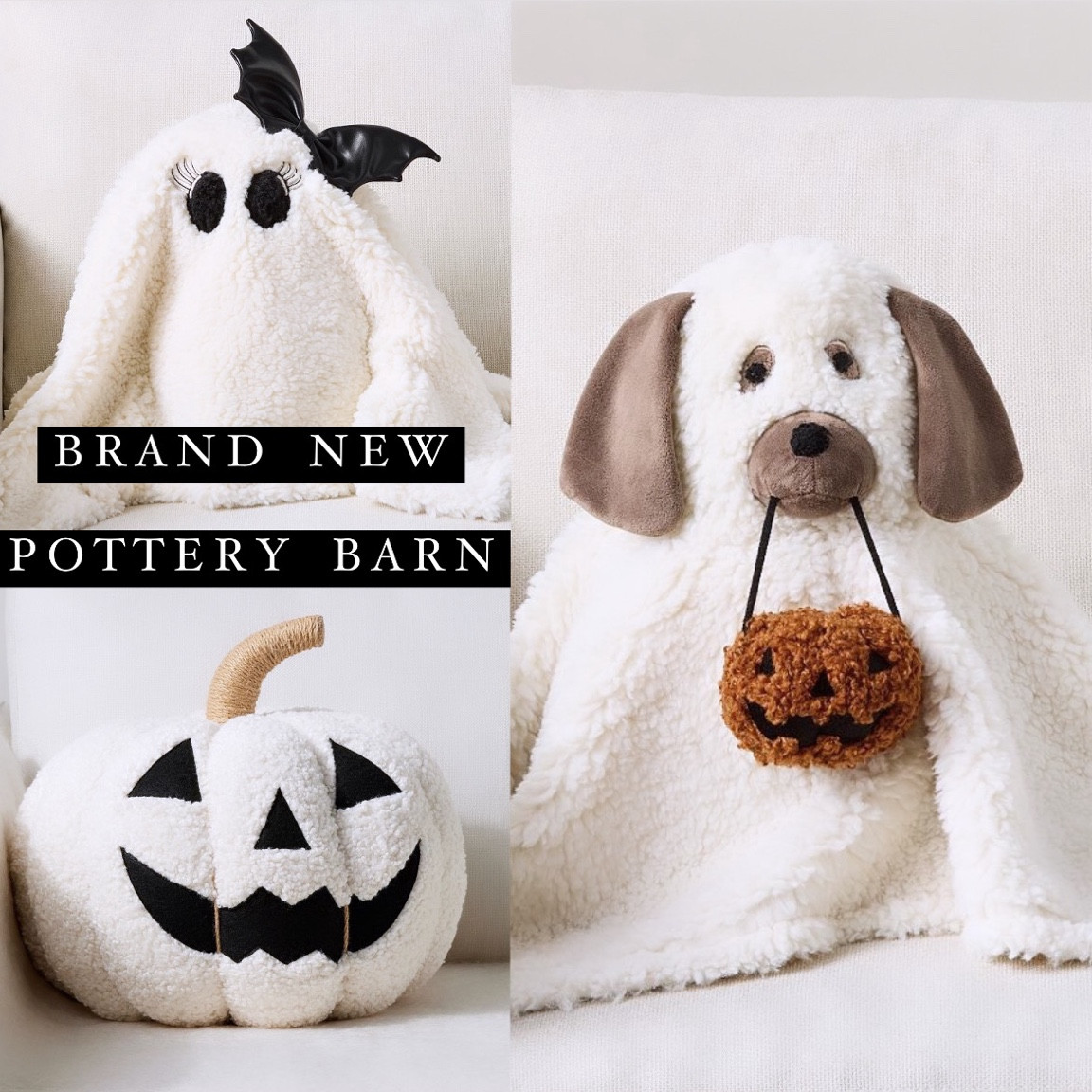 Brand new pottery barn Halloween decor!!

The little doggo though 🎃 So cute!!

Ghost, dog, puppy, Doug the dog, Ms Gus, white pumpkin, pumpkin pillow.

#Halloweenn

#LTKHome #LTKSeasonal
