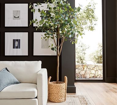 Faux Silver Dollar Eucalyptus Tree | Pottery Barn (US)