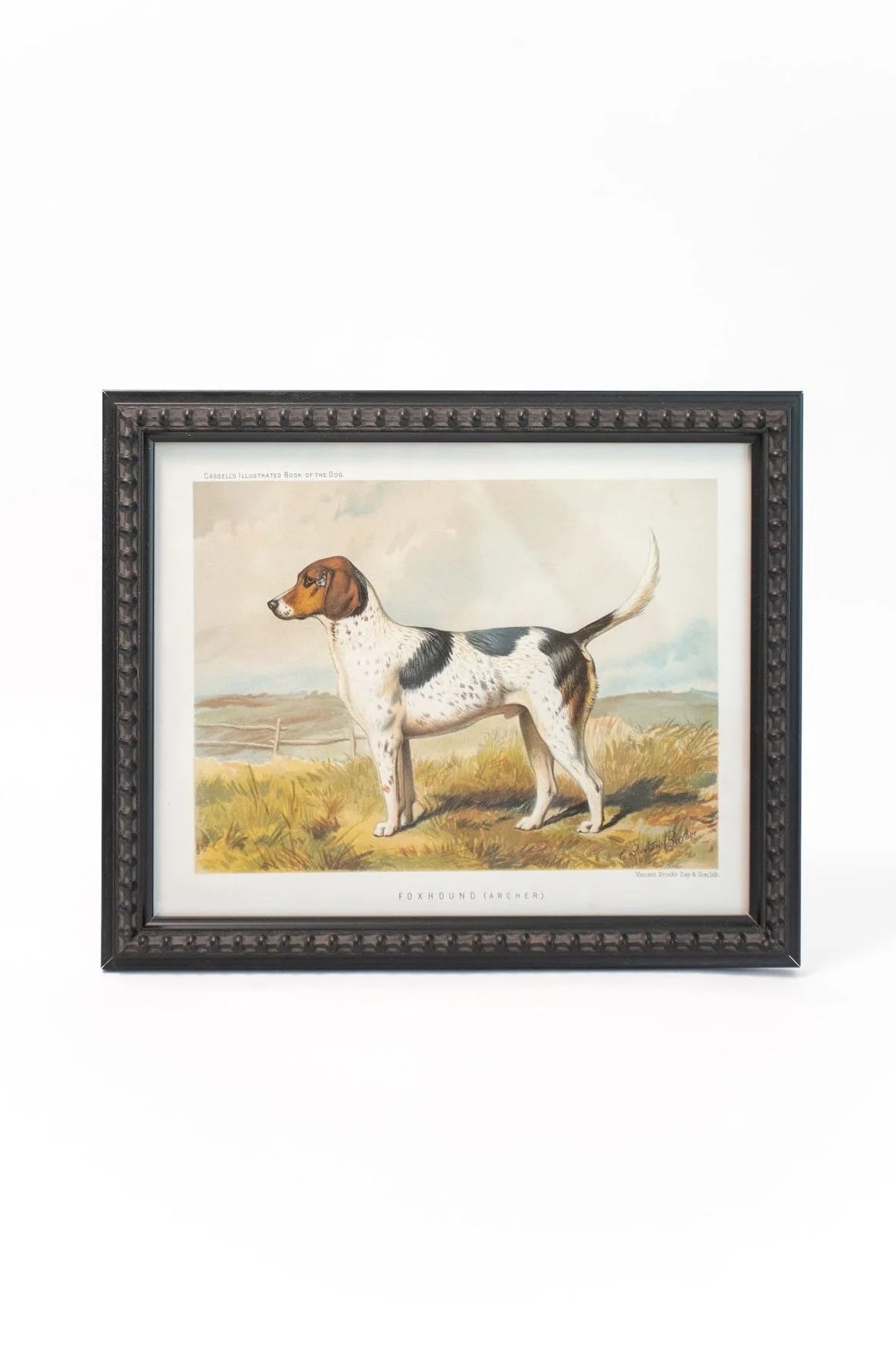 Foxhound Framed Wall Art | THELIFESTYLEDCO