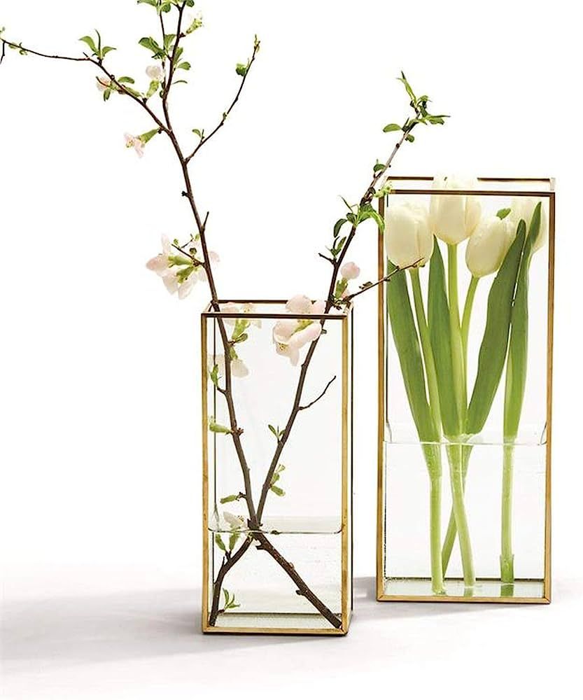 Two's Company Set of 2 Square Window Vases with Gold Metal Trim in 2 Sizes | Amazon (US)