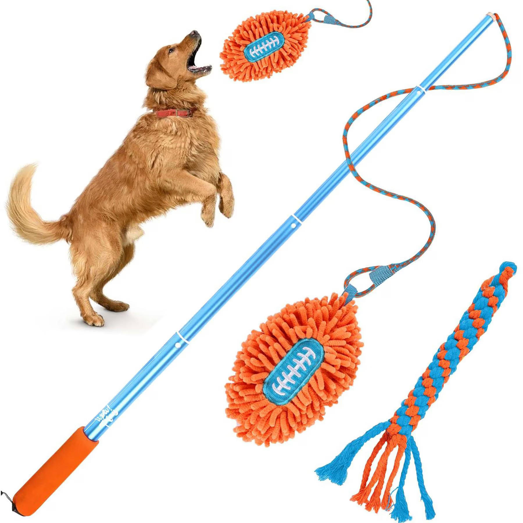 allforpaws Wow Play Flirt Pole Tug Dog Toy | Chewy