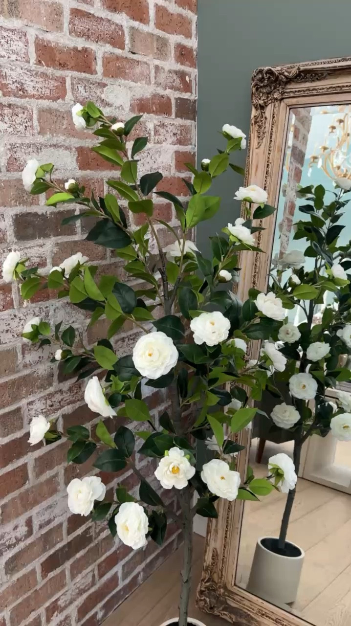 Spring trees are a must and this two pack is perfect for your front porch and for indoors in cute planters 

#LTKSeasonal #LTKHome #LTKWedding