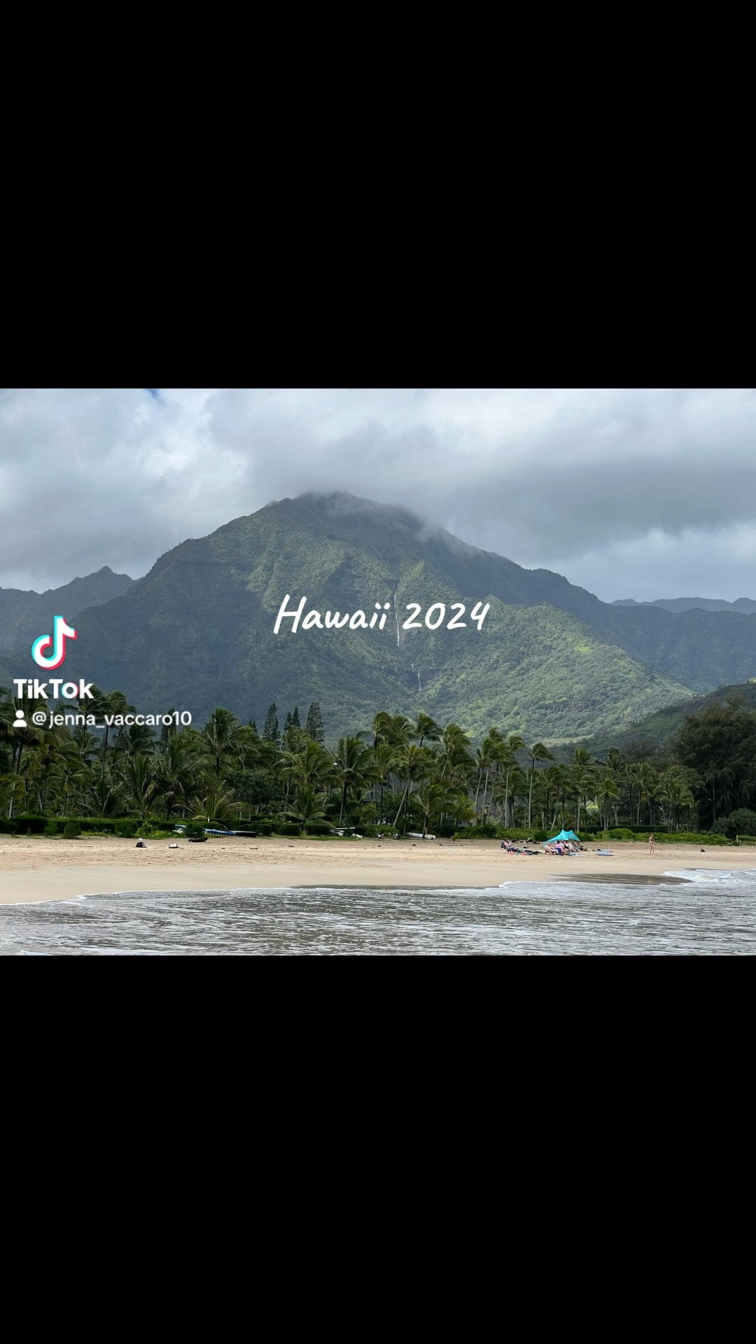 Hawaii 2024 Outfit Haul!! Let me know your fav dresses for me to pack on this trip! 

#resort #resort2024 #hellomolly #fashion #dresses #vacation #family #travel 

#LTKstyletip #LTKtravel #LTKfindsunder100