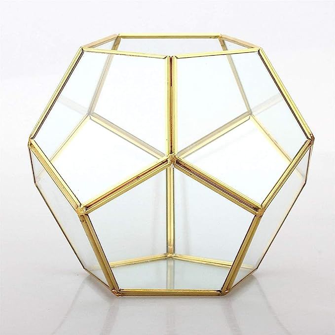 Banord Goldern Tabletop Geometric Terrarium, 7.8 x 7.8 x 6.5 inches Metal with Glass Succulents T... | Amazon (US)