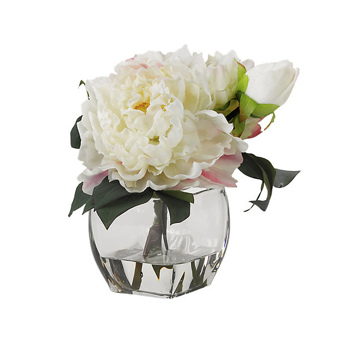 Cream Peonies in Glass Cube | Frontgate | Frontgate