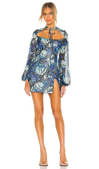 Butterfly Print Mini Dress in Butterfly Print | Revolve Clothing (Global)