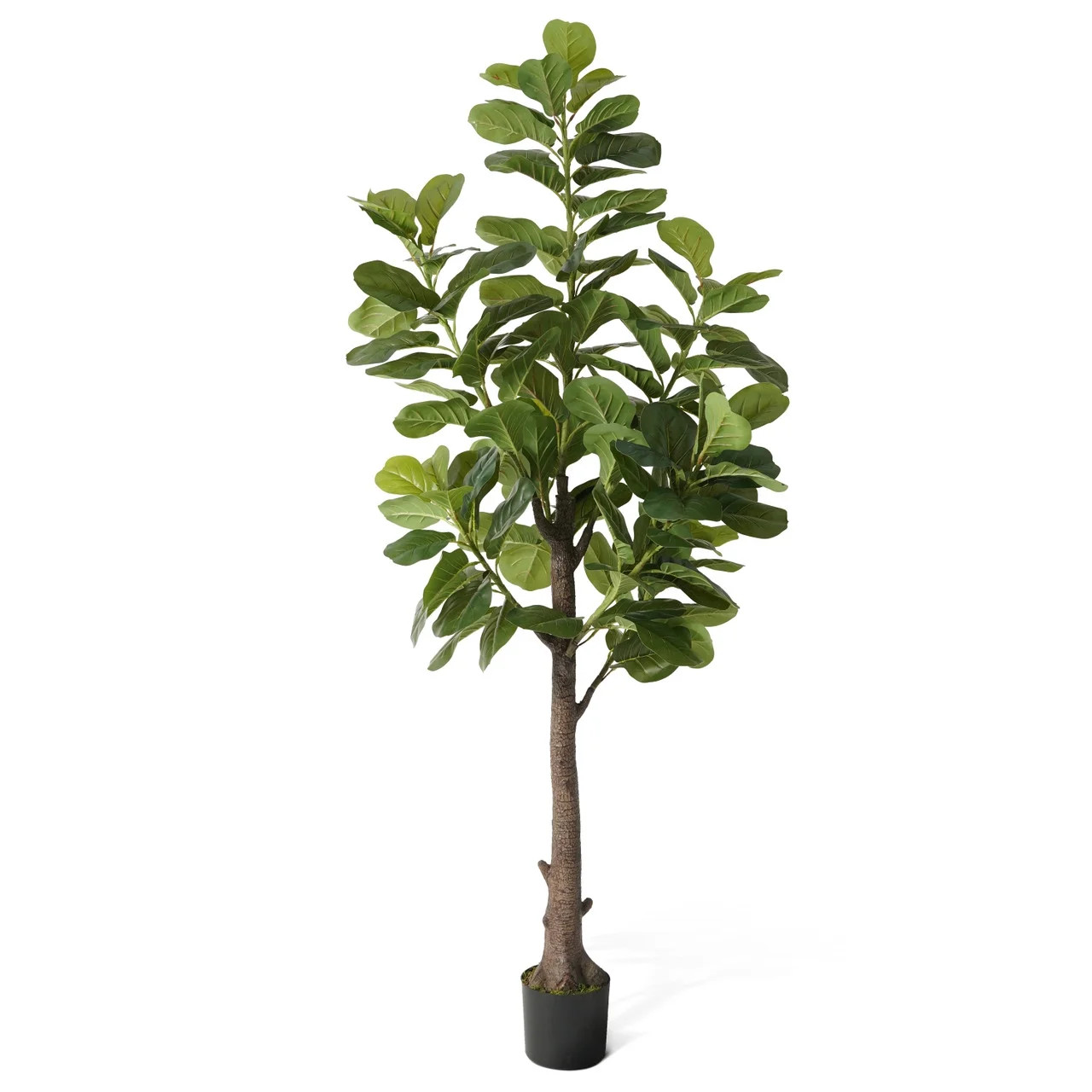 CAPHAUS 6 to 7 ft Fig Artificial Tree in Pot with Dried Moss | Walmart (US)