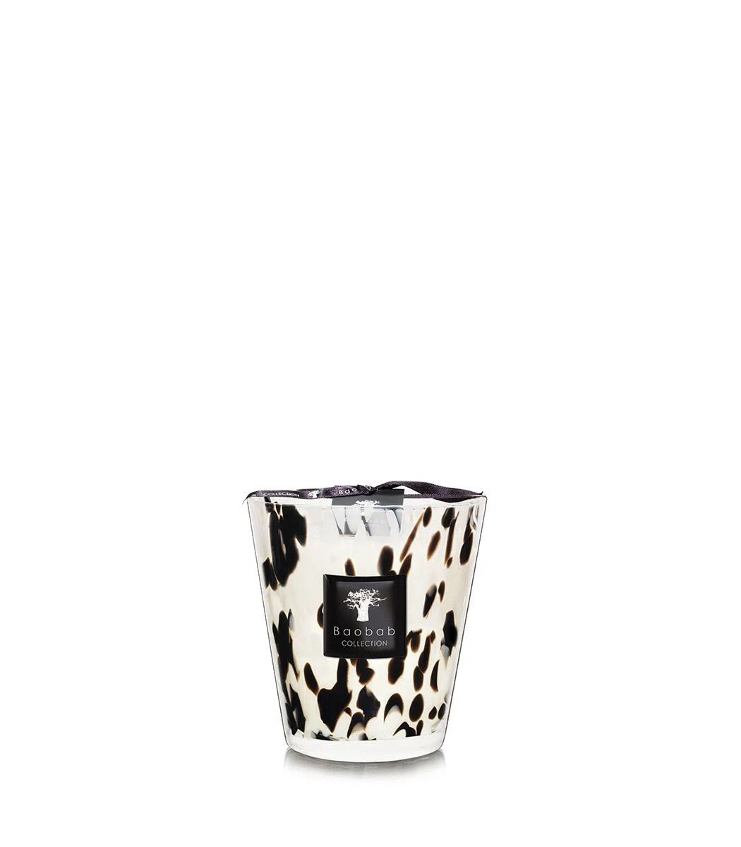 Baobab Collection Pearls Black Candle | Perigold | Perigold