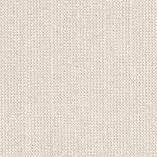 Lifeproof Lightbourne - Color Pale Cream Loop Beige Carpet-HDE8989171 - The Home Depot | The Home Depot
