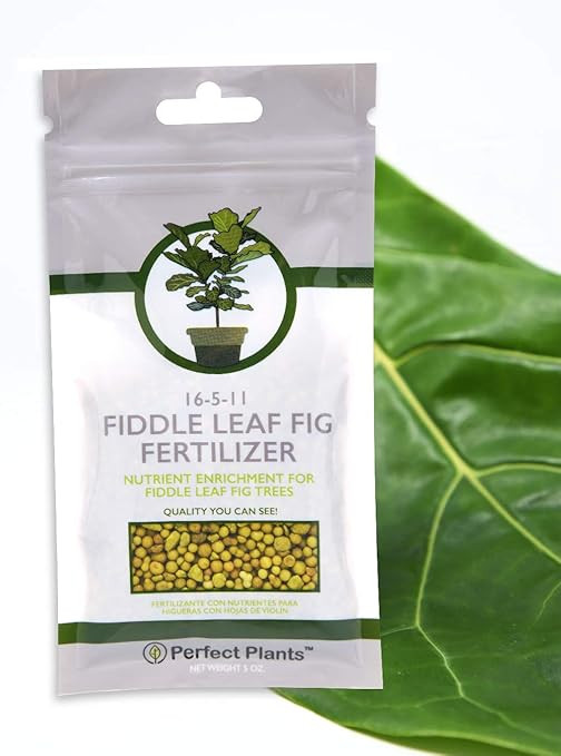 Amazon.com : Fiddle Leaf Fig Slow-Release Fertilizer by Perfect Plants - Resealable 5oz. Bag - Co... | Amazon (US)