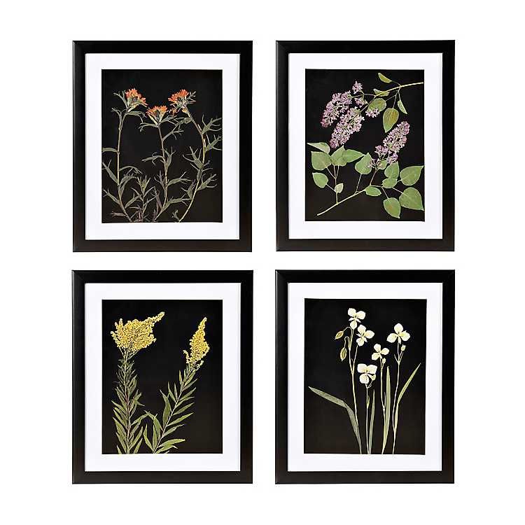New! Pressed Flowers Framed Art Prints, Set of 4 | Kirkland's Home