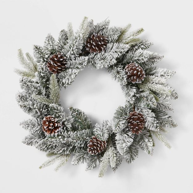 22&#34; Flocked Mixed Greenery with Pinecones Artificial Christmas Wreath - Wondershop&#8482; | Target