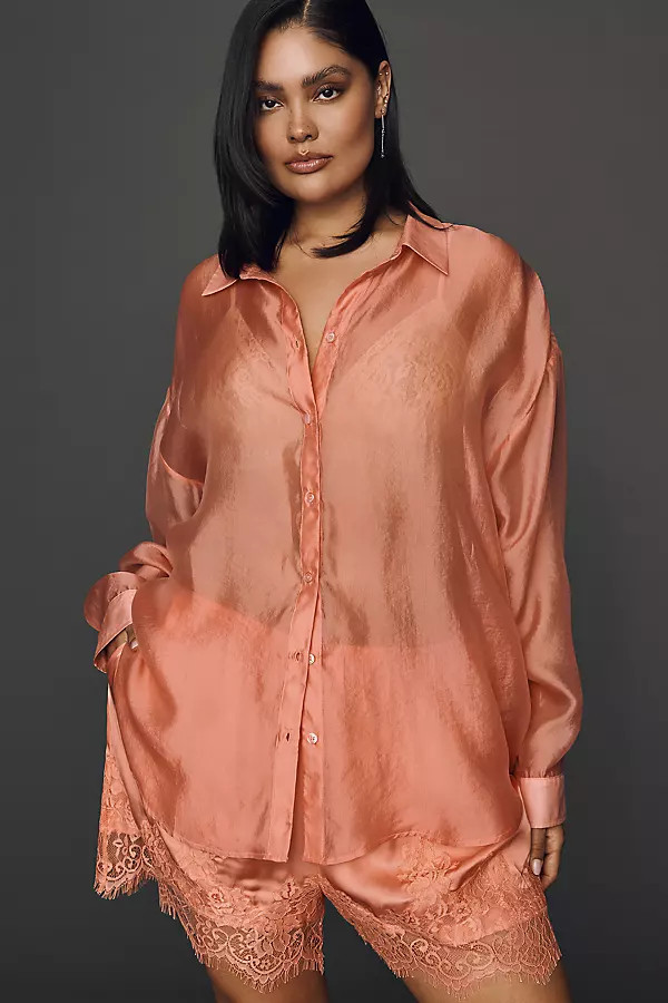 Sheer Long-Sleeve Buttondown | Anthropologie (US)