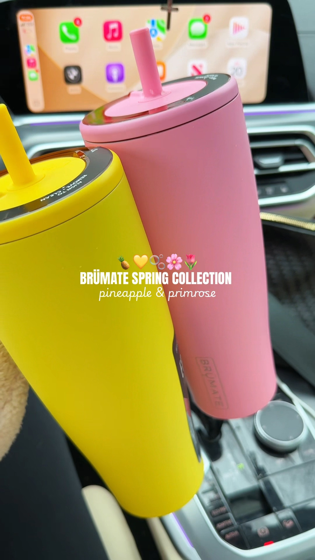 Brumate new spring collection release 🍍🌸

#LTKHome #LTKActive #LTKmomlife
