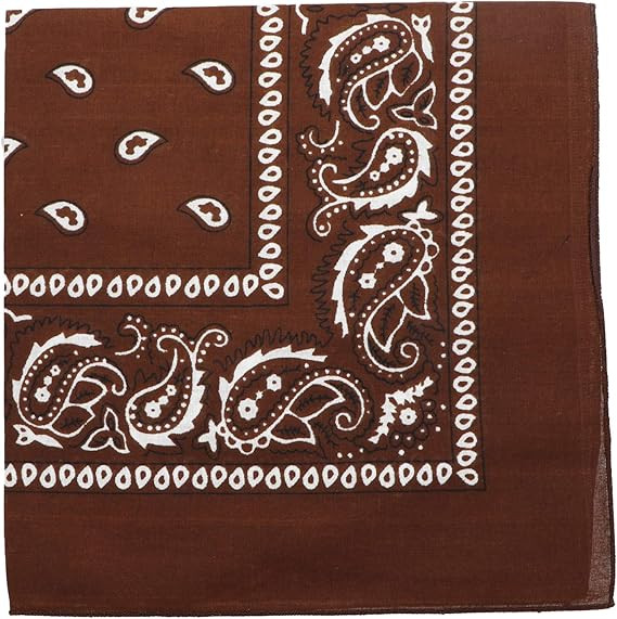 Motique Accessories 22 Inch Cotton Paisley Bandana | Amazon (US)