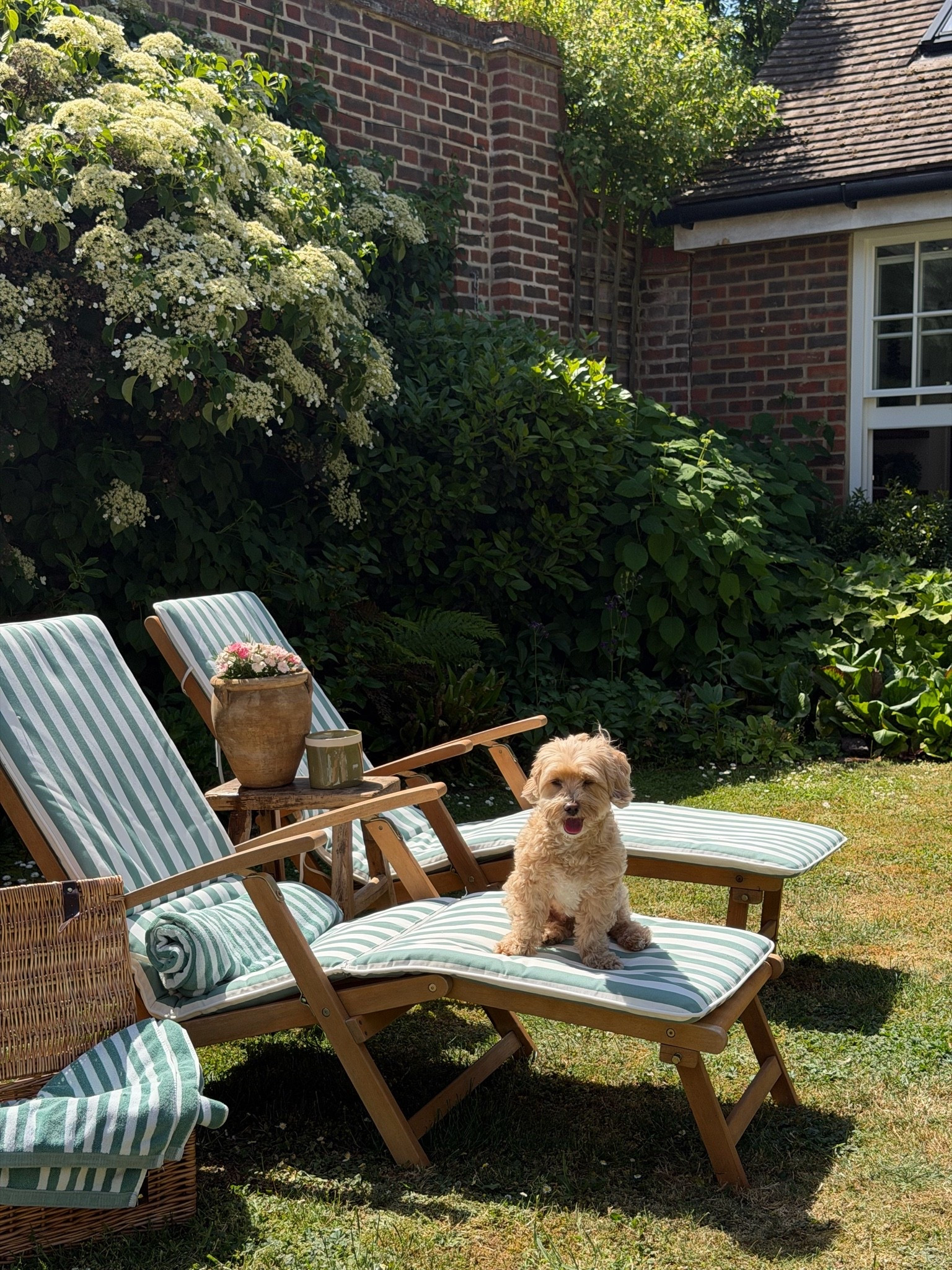 Found similar garden sunloungers perfect for this summer! @johnlewis ad

#LTKsummer #LTKhome