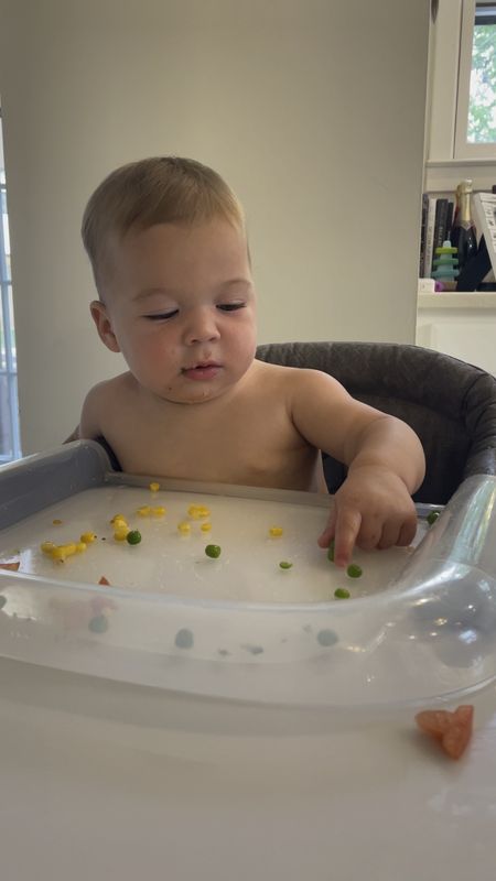This clear high chair tray is my number one starting solids essential ! I like it more than plates because he can’t throw it on the floor. The clip on high chair is the best - he likes to sit with us at the table! We also take it with us to restaurants it packs up in a travel bag

Baby essentials , baby feeding essentials , travel high chair , high chair tray 

#LTKfamily #LTKbaby
