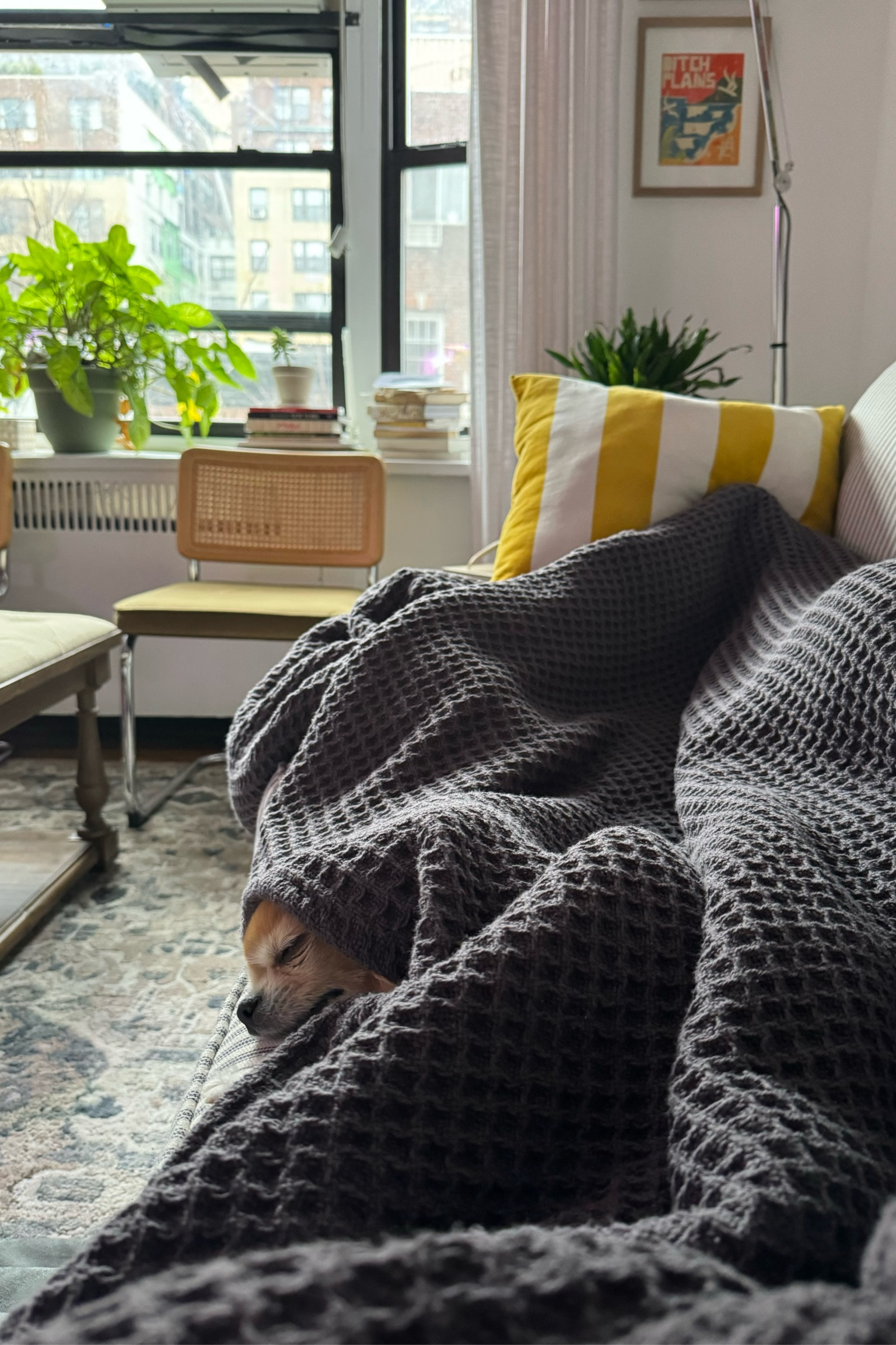 The blanket for all seasons! 

#LTKsalealert #LTKhome #LTKGiftGuide