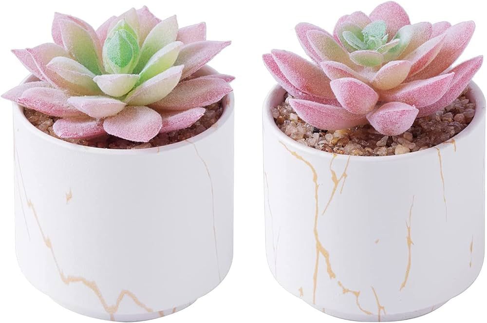 Succulents Plants Artificial, Mini Fake Succulents in White Ceramic Pots for Desk Livingroom Bath... | Amazon (US)