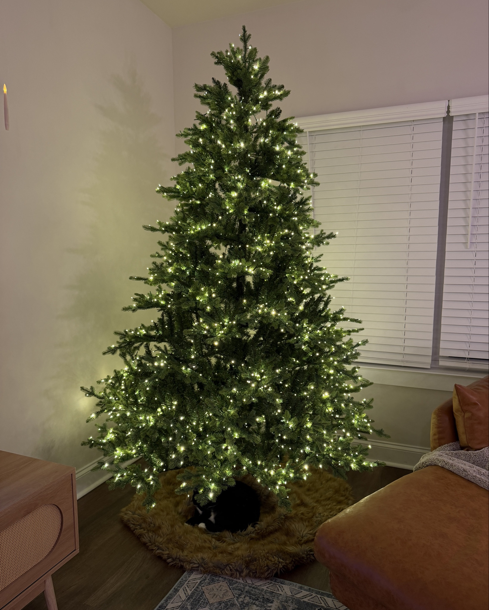 want the viral twinkle lights tree but not the price? We found one we are loving & it’s 50% off!! 🎄✨ it’s beautiful 👉🏼 swipe for more details!

target christmas trees | black friday finds | christmas tree sale | multifunction lights 

#LTKHoliday #LTKSaleAlert #LTKCyberWeek