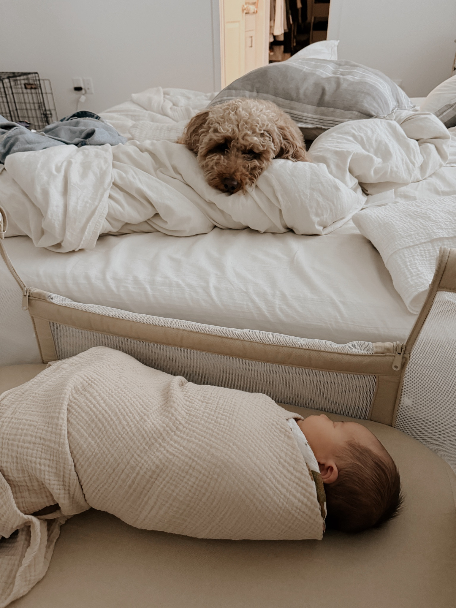 This bedside bassinet has made co-sleeping so easy and safe! The drop-down side helped make nighttime feedings and soothing so much easier and it helped us to bond from day one. 🤎

#LTKhome #LTKbaby