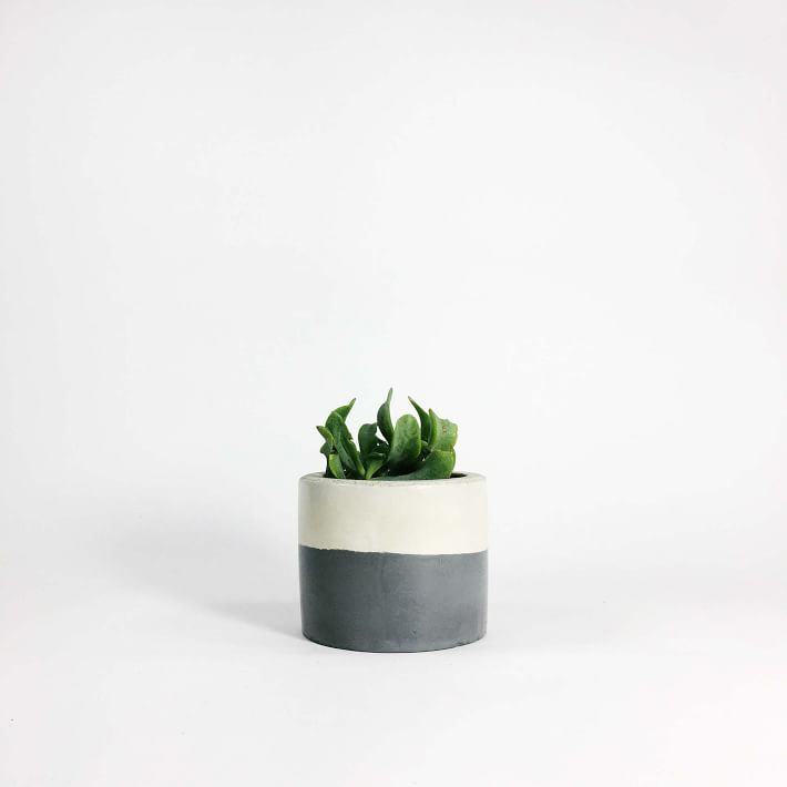 SETTLEWELL Short Concrete Vase | West Elm (US)