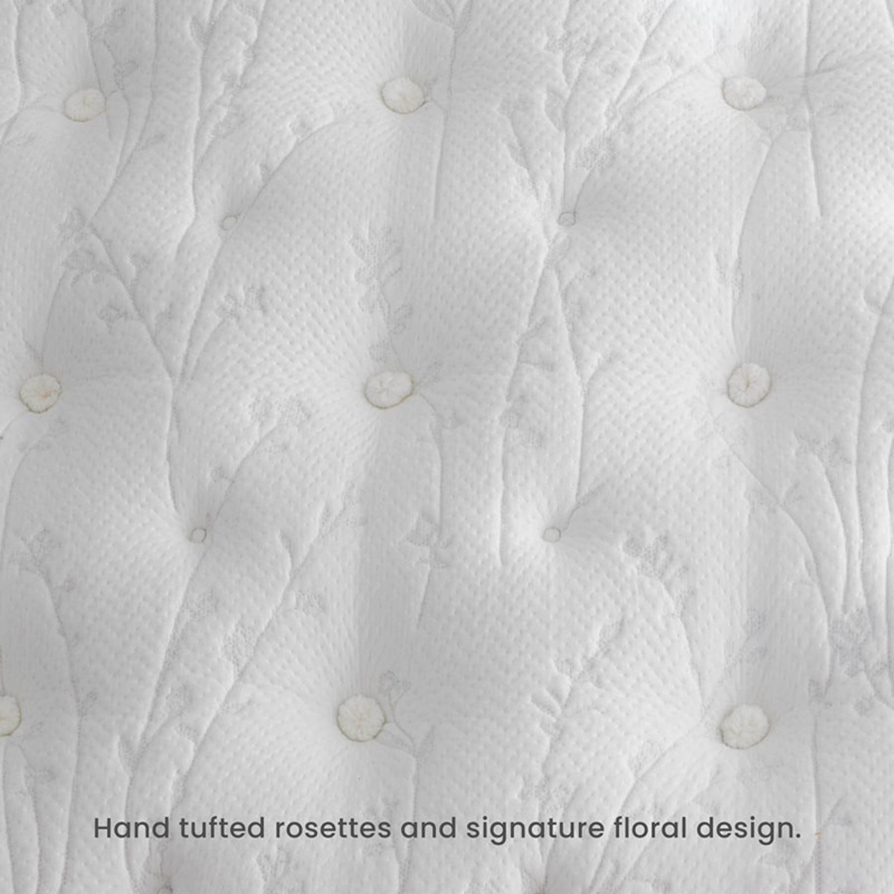 Queen | The Company Store