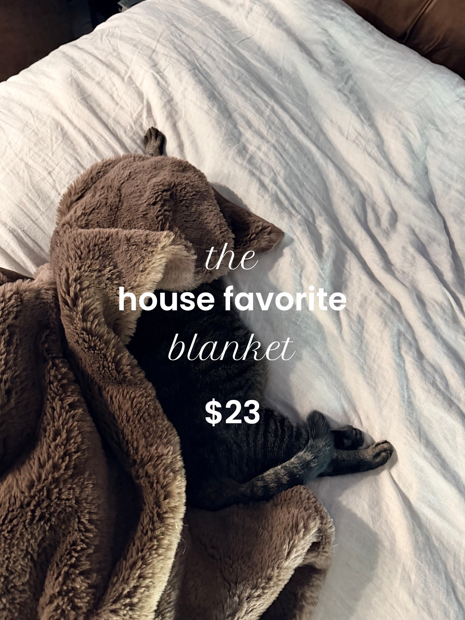 The best extra furry & plush Walmart throw blanket

#LTKStyleTip #LTKHome #LTKFindsUnder50