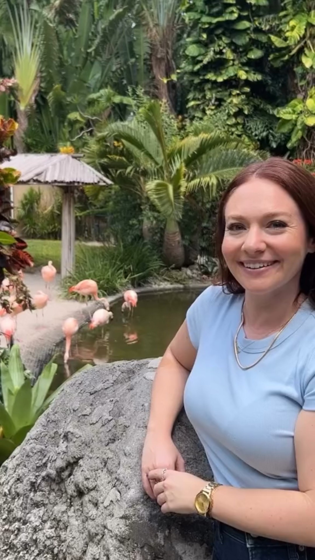 If you haven’t visited the @sunkengardensstpete in St Pete yet you are truly missing out!! 🎍🦩🦜🌿

#thingstodoinstpete #thingstodointampa #tampabay #sunkengardens #funthingstodo #floridafun #stpetefl

#LTKPetite #LTKFindsUnder100 #LTKTravel