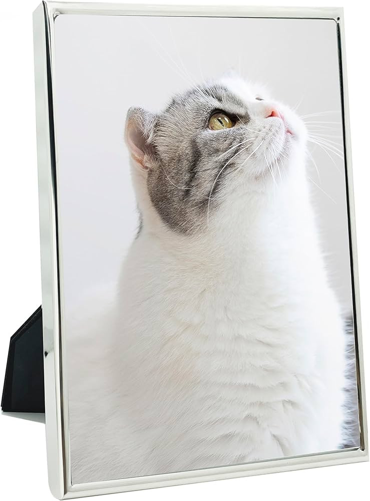 DECANIT 4x6 Picture Frame Metal, Thin Profile Photo Frame 4 by 6 Inch, Display for Wall or Tablet... | Amazon (US)