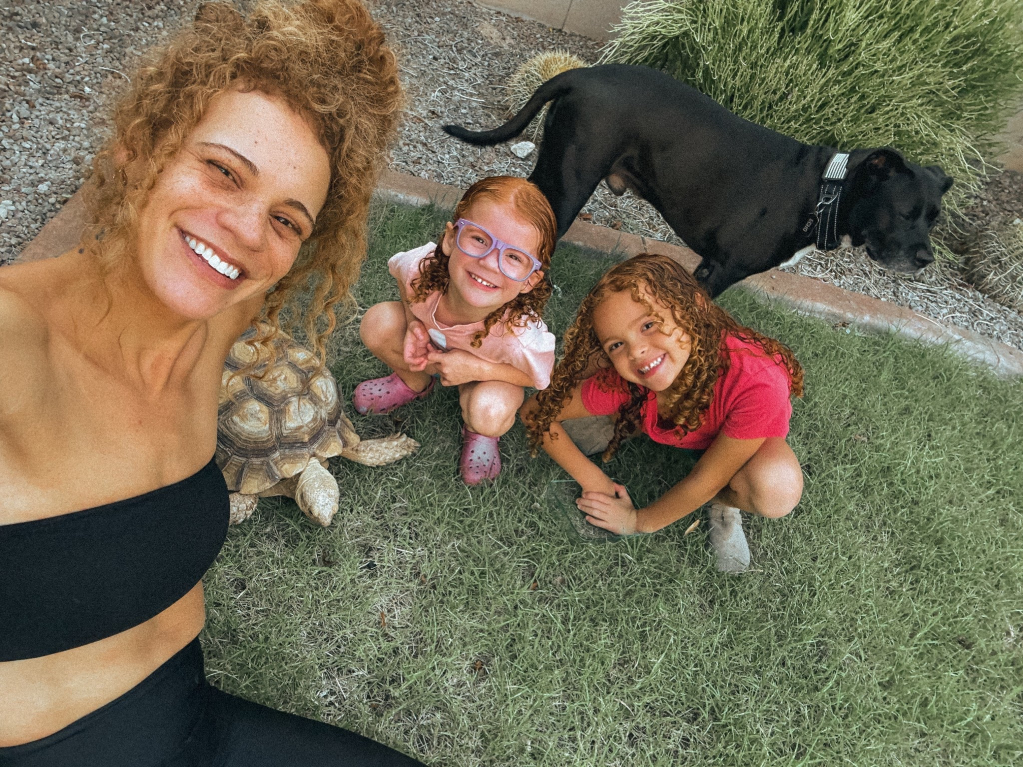 This bandeu is a staple in the rotation 

#amazon #basicsforwomen

#LTKStyleTip #LTKSaleAlert #LTKFallSale